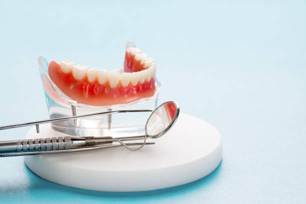 Professional Dental Services in Notre Dame, IN
